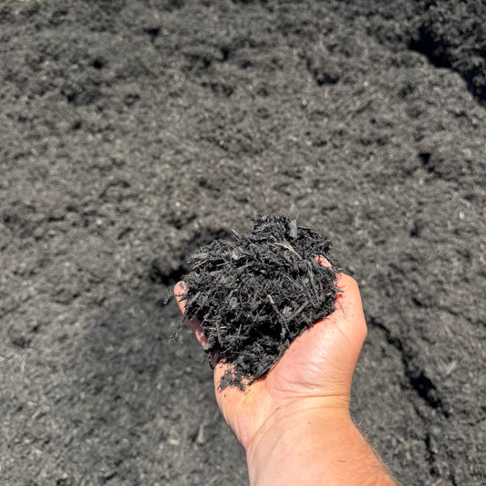 Midnight Black Mulch