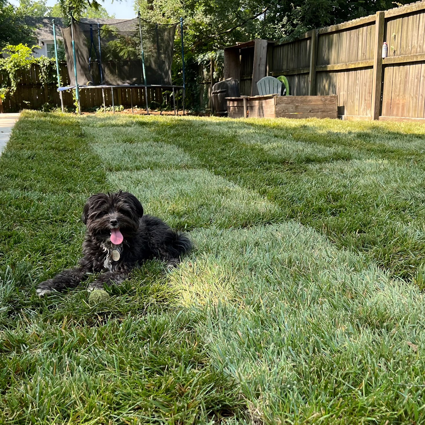 Individual Sod Rolls